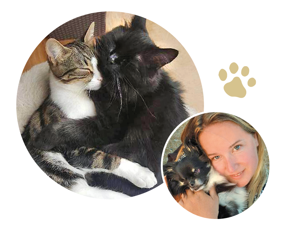 Jenny des chats et des chiens, formée comportementaliste chat, garde et promenade animaux